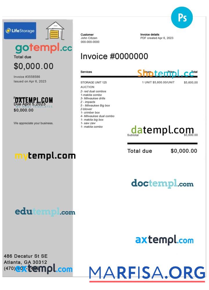 Blank Life Storage invoice example